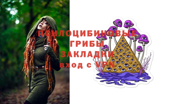 спиды Инсар