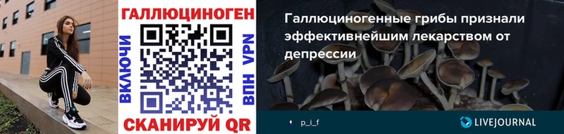Галлюциногенные грибы Psilocybe  даркнет сайт  Таганрог 